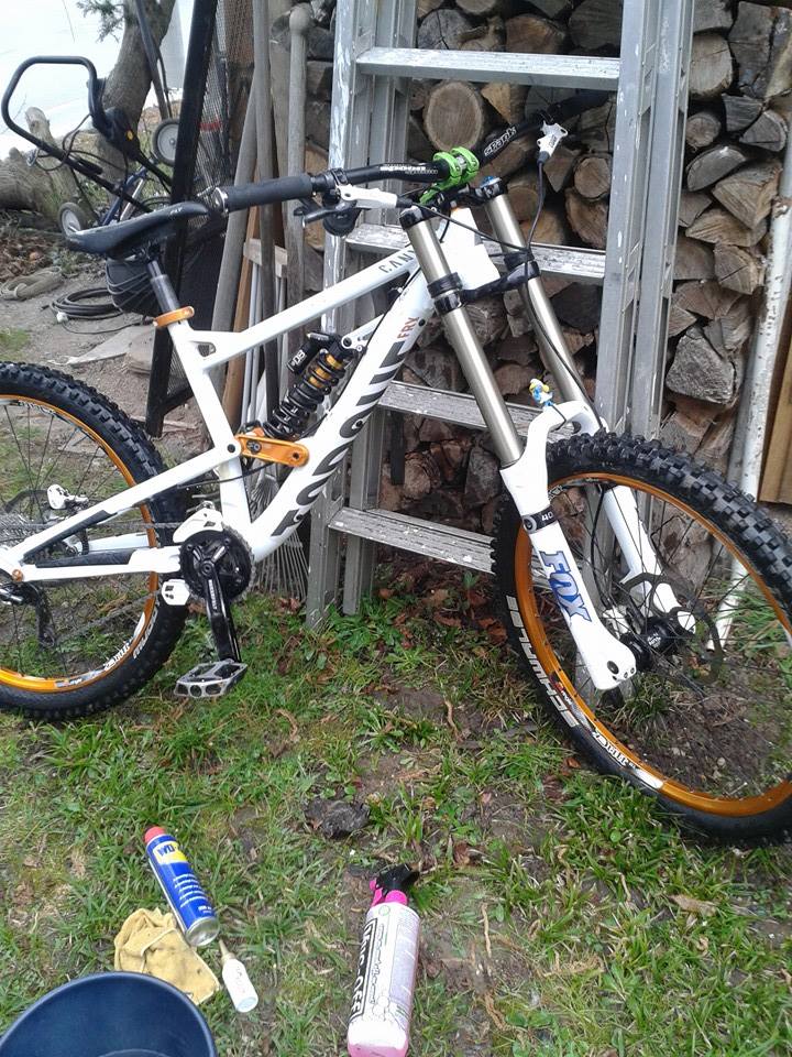 Gestohlene Bikes!!! | Seite 187 | MTB-News.de