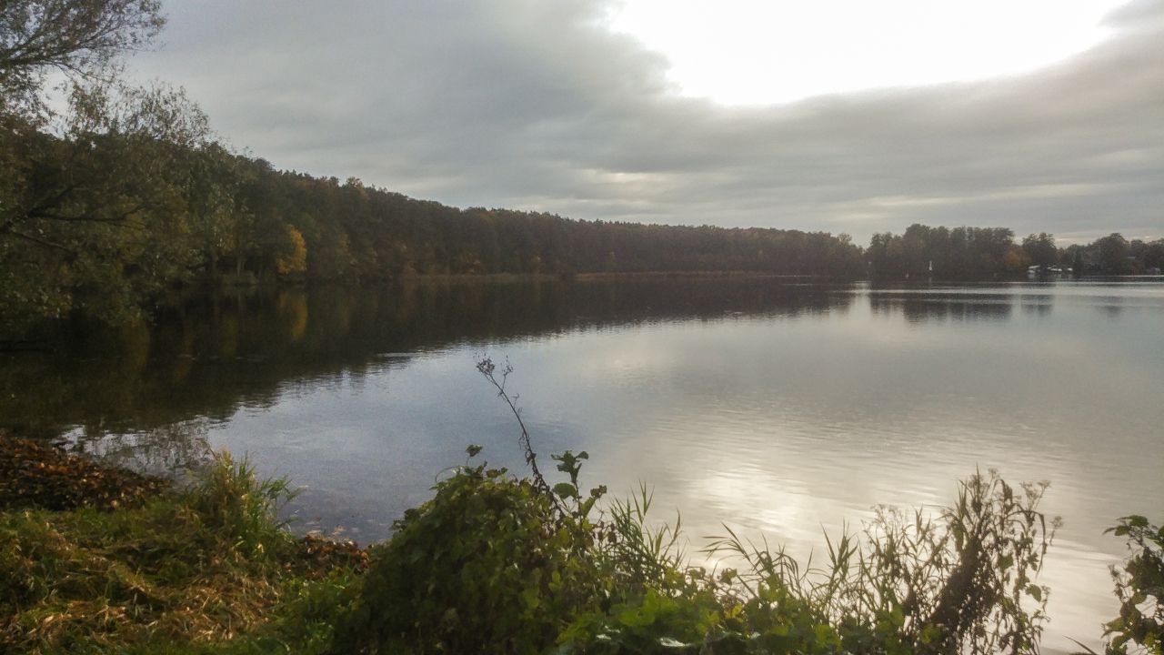20231105_124654.jpg