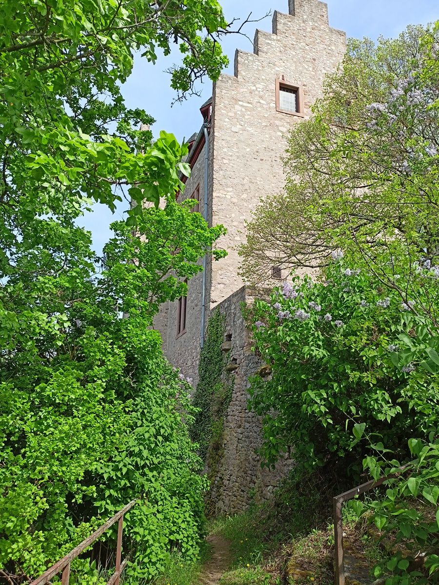 An der Burg vorbei.jpg