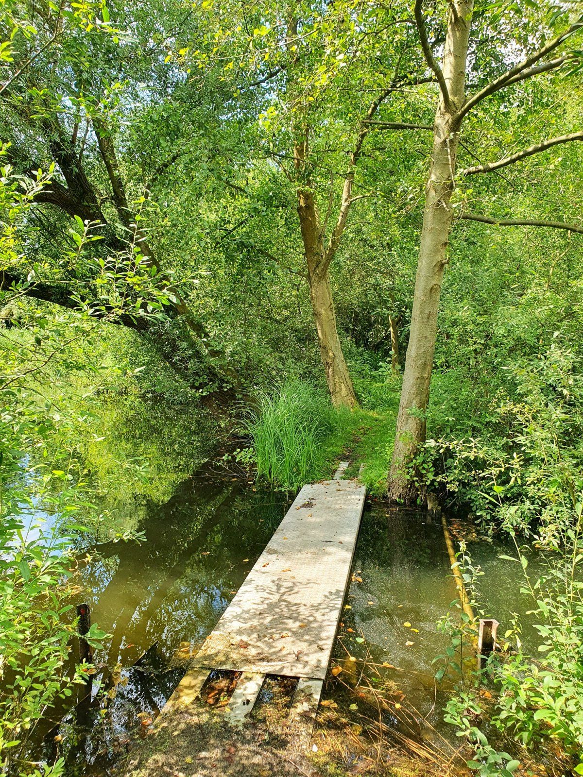 Brücke an der Wasserkante.jpg