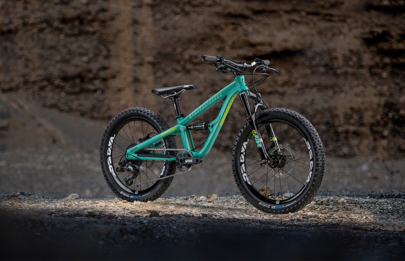 Propain Frechdax 20" - Tipps & Tricks, Einstellungen, Tuning & Upgrades  inkl. Bildergalerie | MTB-News.de