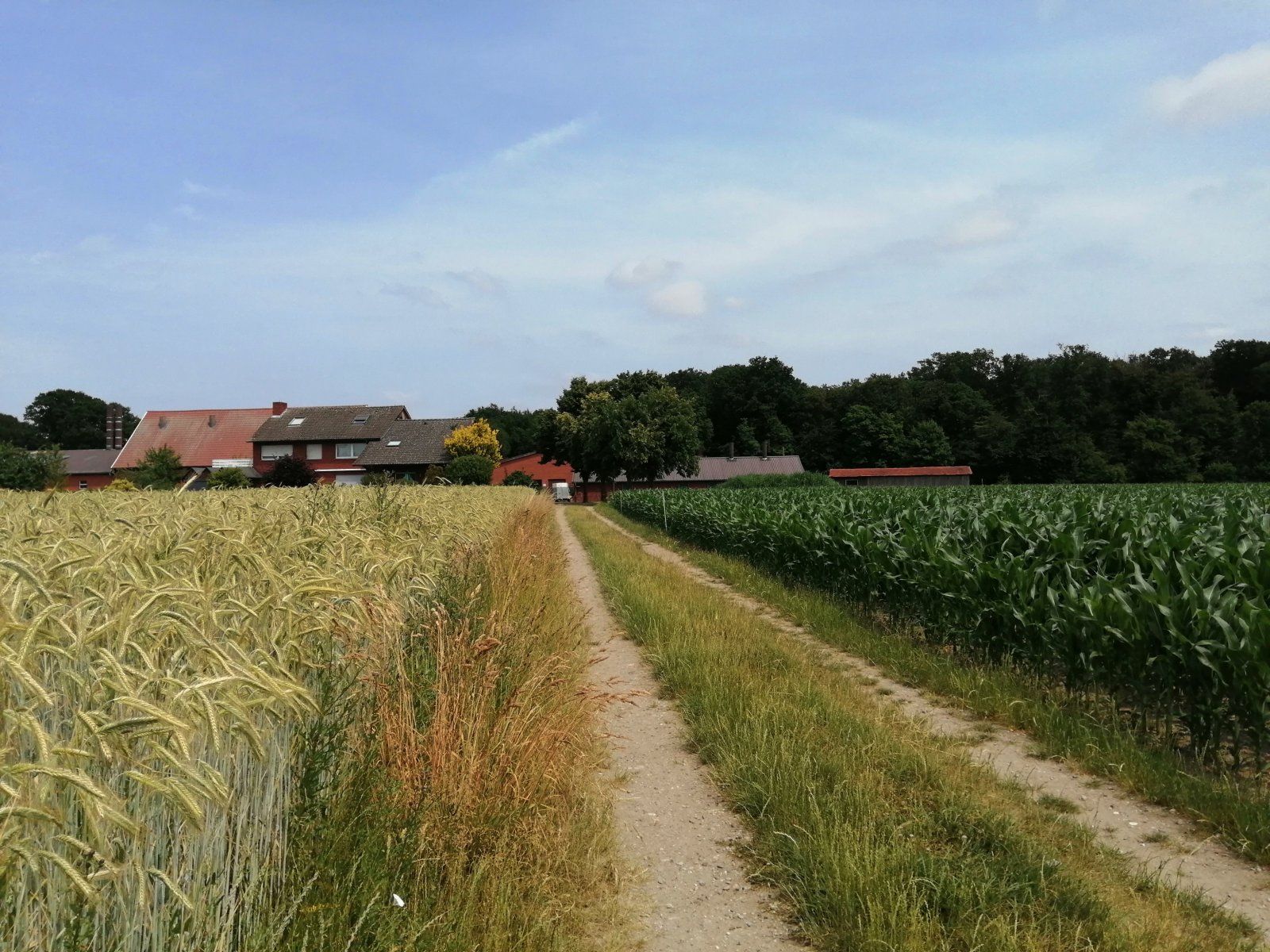 IMG_20220619_144014.jpg