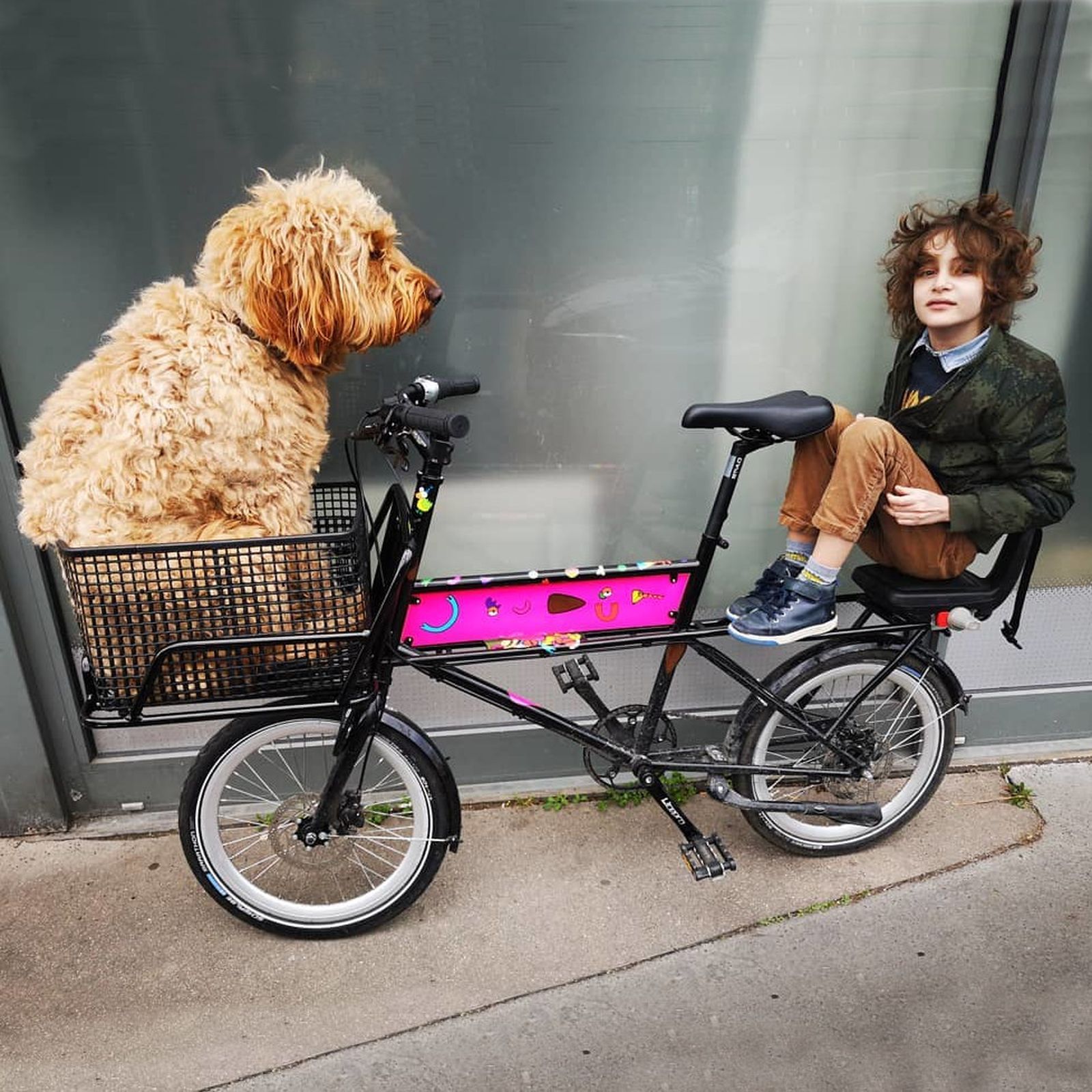 Le petit porteur online cargo bike