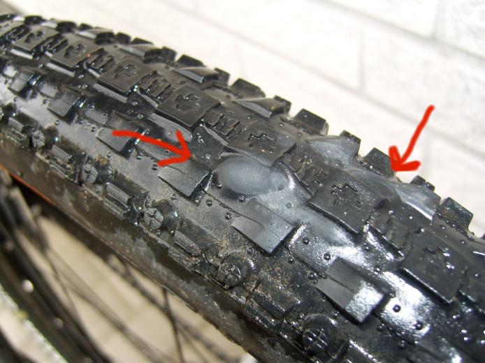 Seltsame Beule am Maxxis Crossmark LUST | MTB-News.de | IBC Mountainbike  Forum