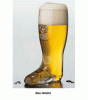 stiefel.gif