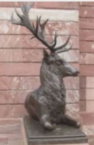 deerhead.JPG