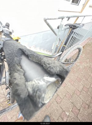 IMG_1087.JPEG