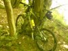 DSC03445.jpg