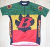 Bontrager front crop.jpg