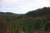 DSC02539.jpg