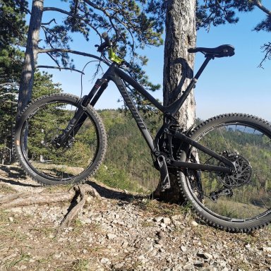 Hardtail bis 700 Euro | MTB-News.de | IBC Mountainbike Forum