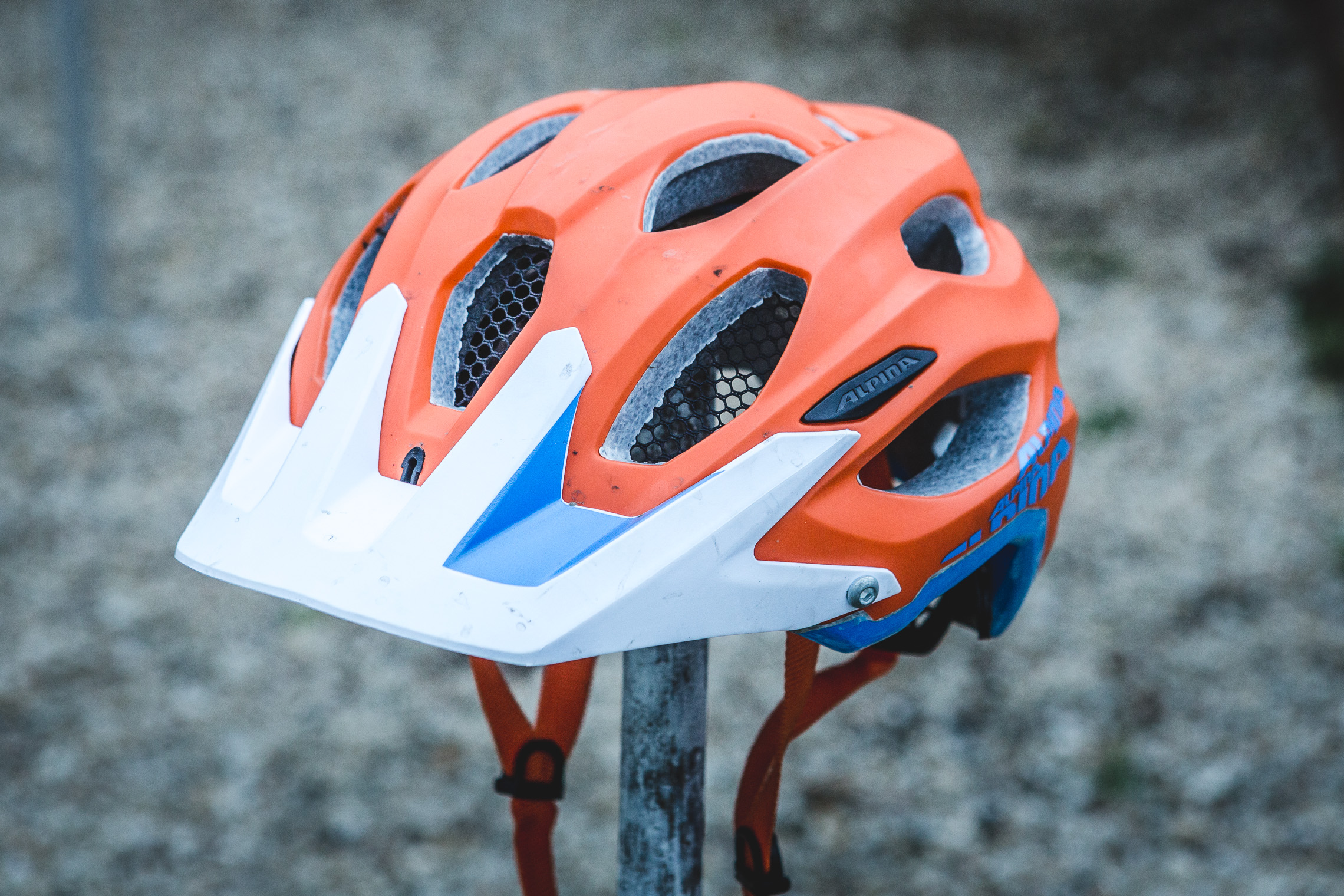 Alpina Carapax Helm im Test: Farbenfroher Enduro-Kopfschutz
