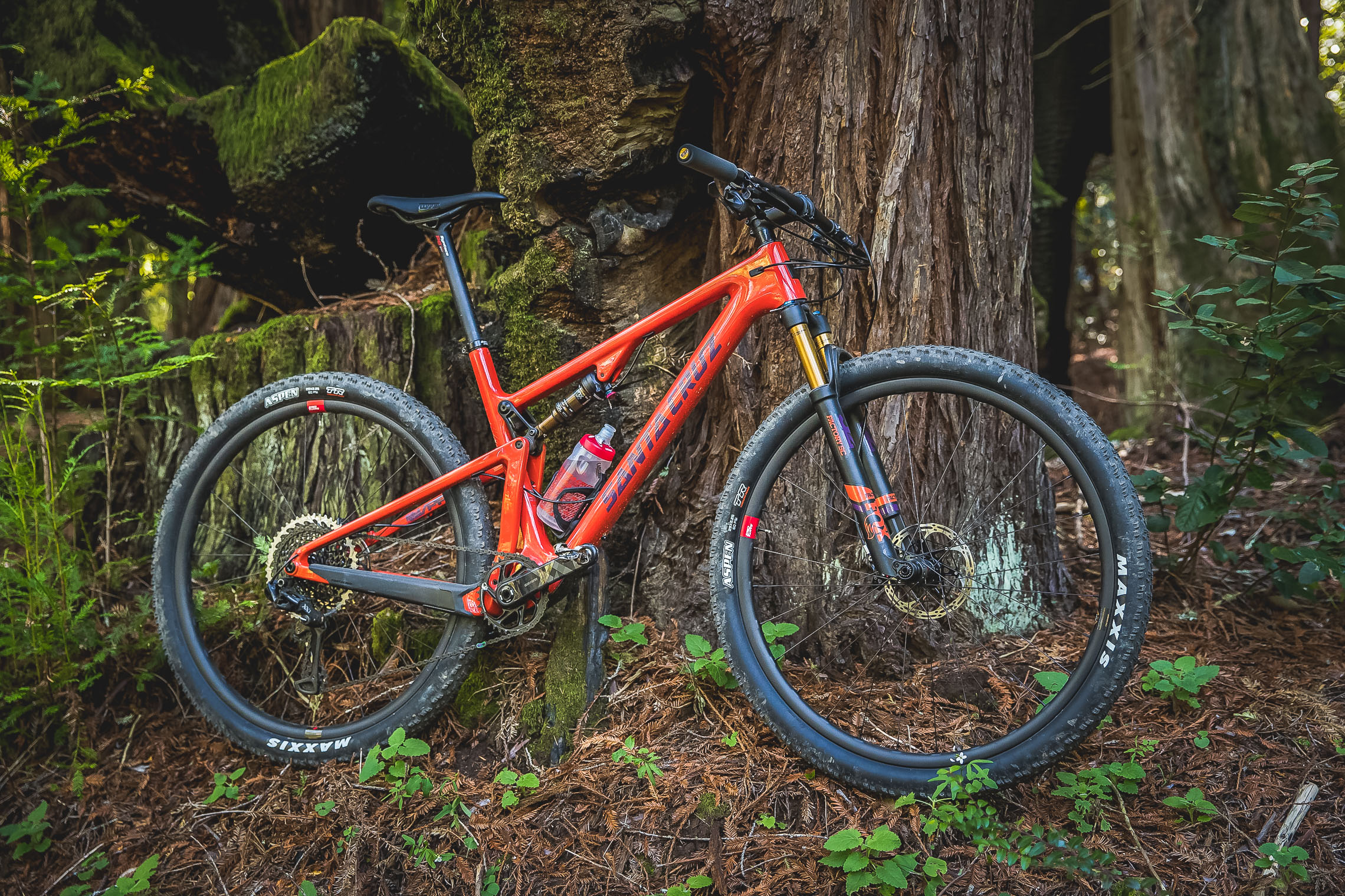 Neues Santa Cruz Blur CC 2018 Neues Santa Cruz Blur CC 2018 Mehr als ein XC Racebike