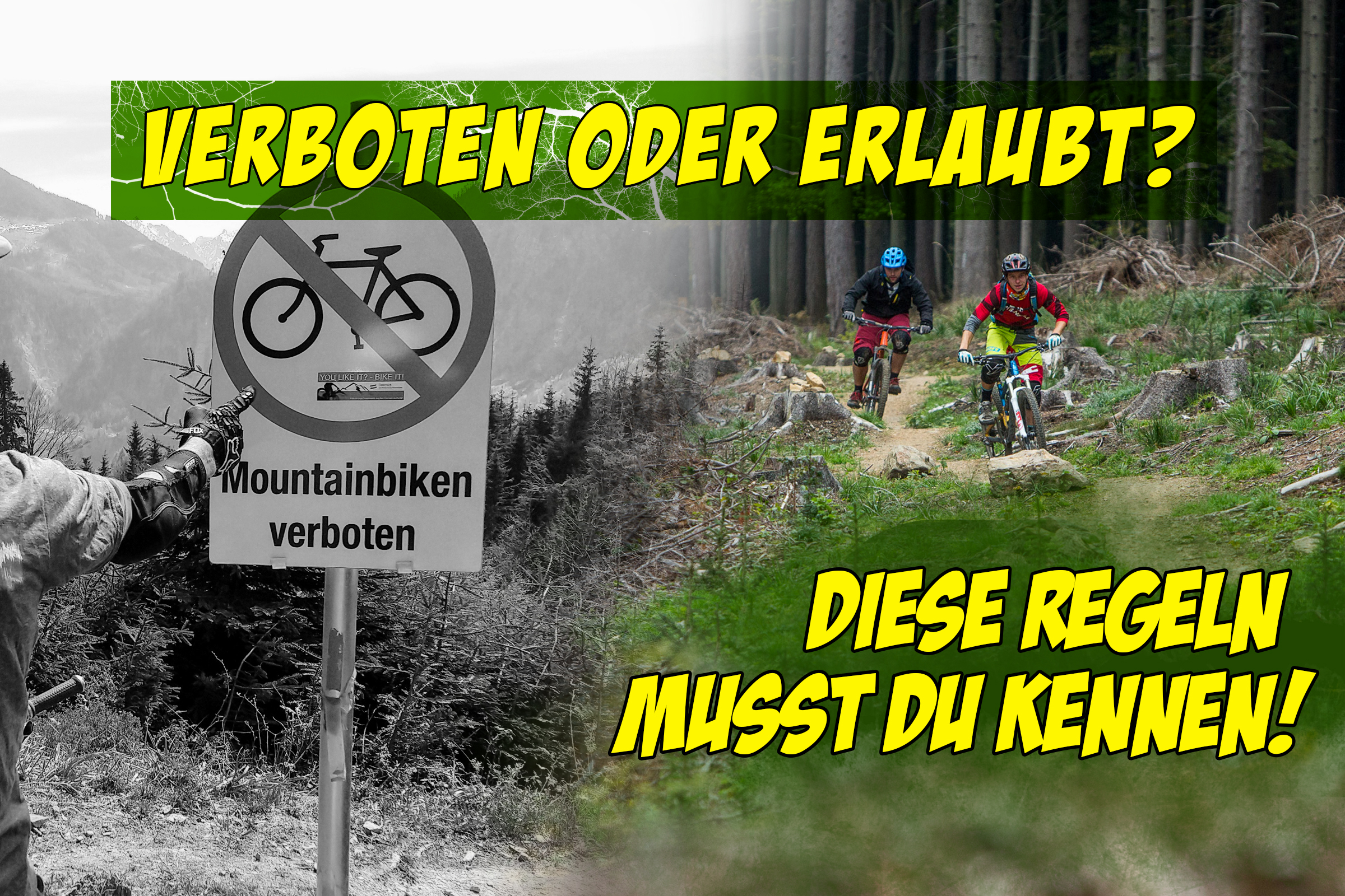 Erlaubt oder verboten? Diese Regeln für Biker im Wald musst du kennen!