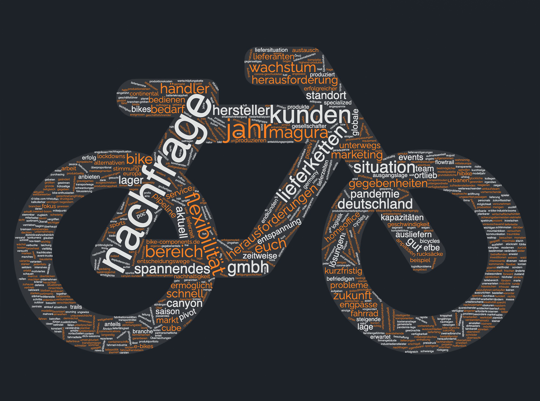 Stimmungsbild Fahrrad-Industrie: So lief das letzte Jahr für 14 Firmen der  Branche - MTB-News.de