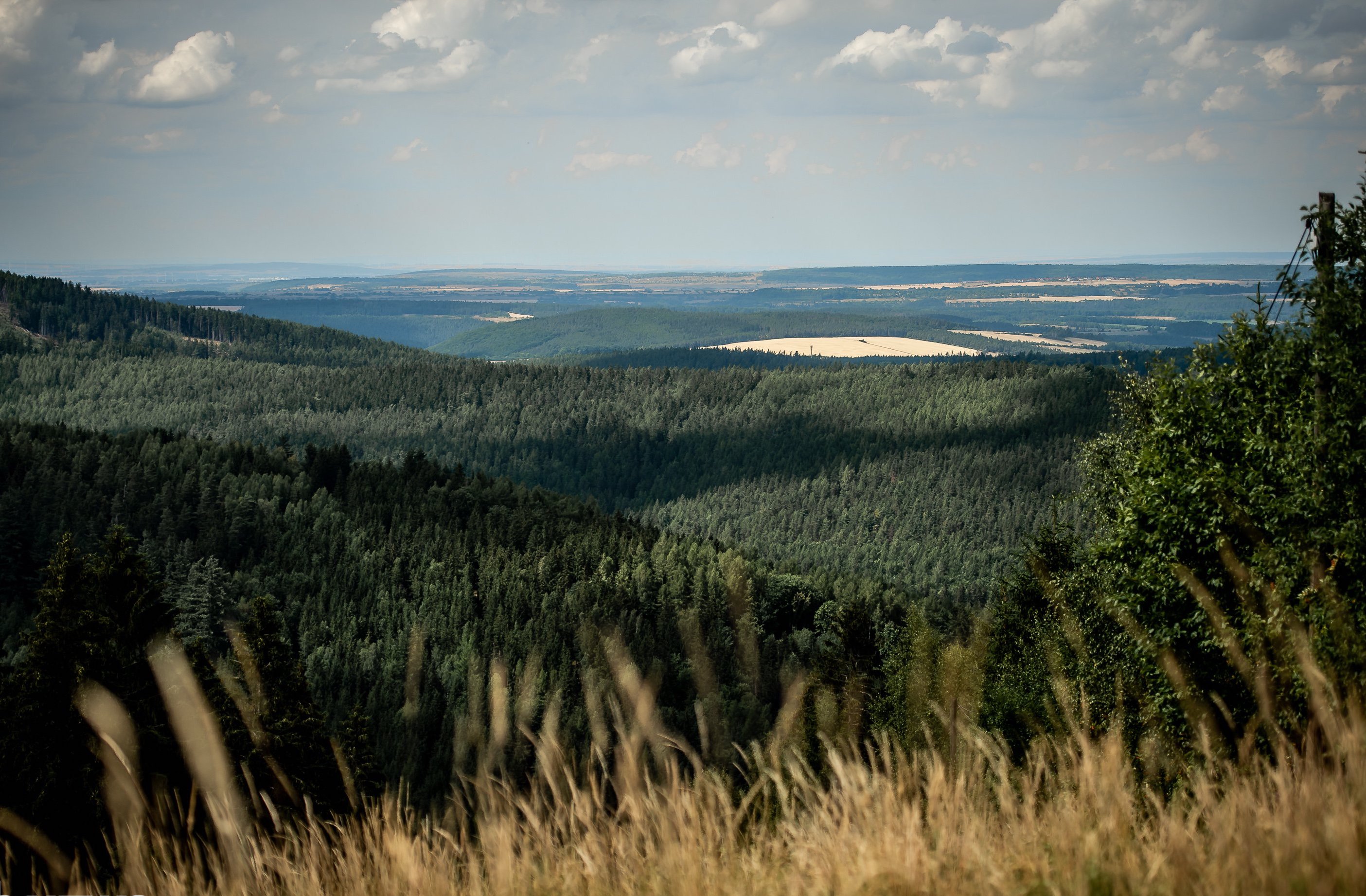 Mountainbiken im Thüringer Wald 2022: Trailparks lassen auf sich warten