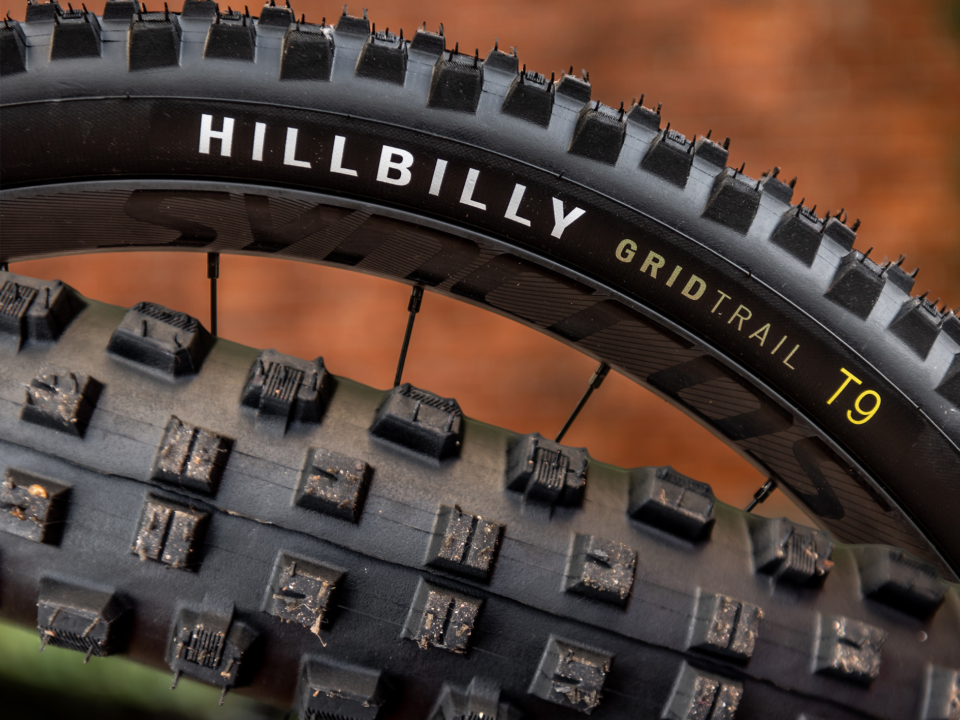 Specialized Hillbilly MTB-Reifen im Test: Hinterwäldler fürs Grobe